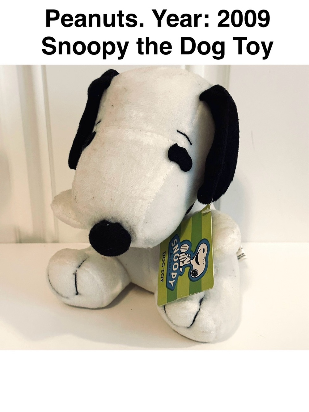 Peanuts Snoopy Plush Dog Toy 2009 Vintage Collectible 🥜